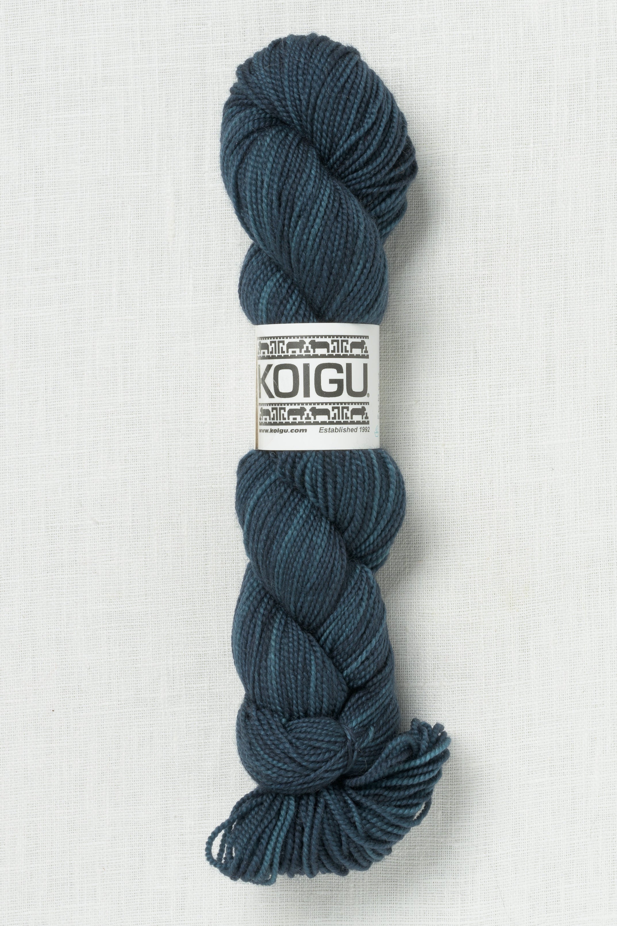 Koigu Premium Merino KPM 5520 – Wool and Company