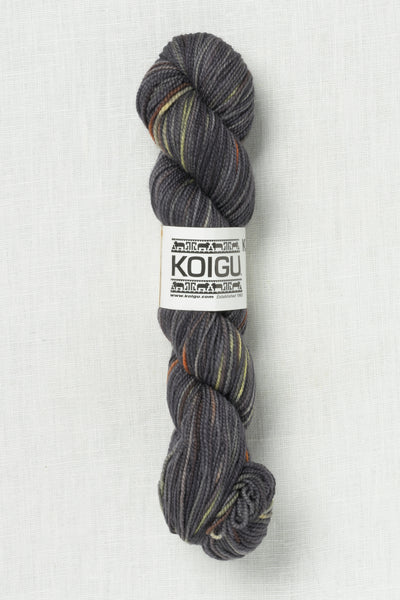 Koigu Painter's Palette Premium Merino KPPPM P991