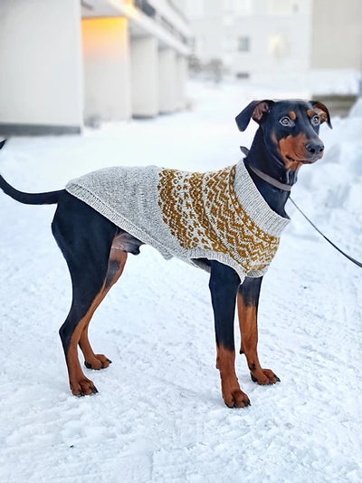 Vargö dog sweater by Sari Nordlund