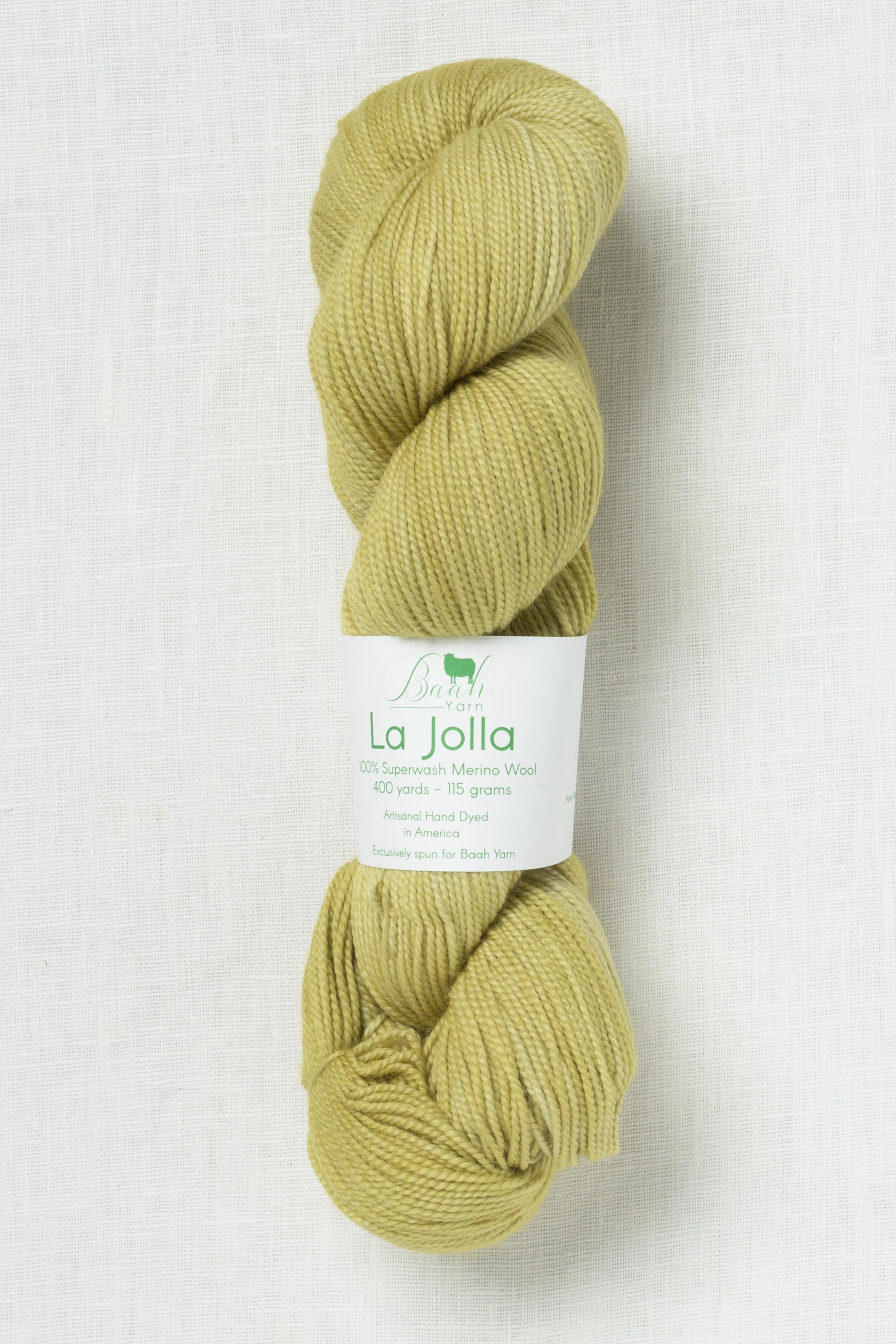 Baah Yarn La Jolla Cactus What You Preach – Wool and Company