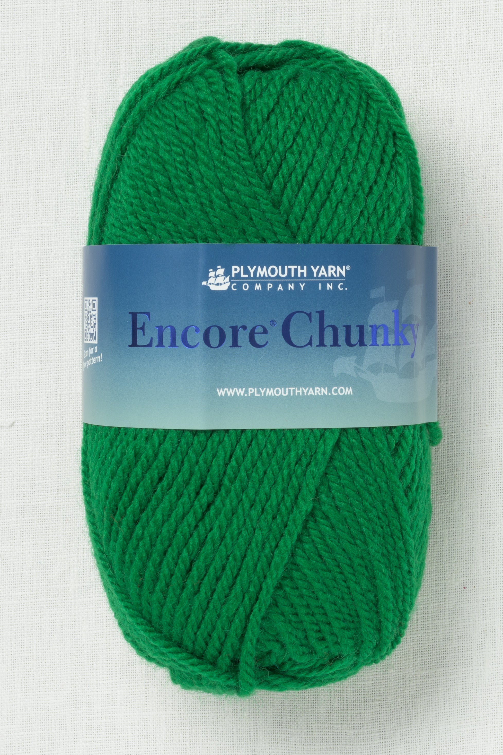 Plymouth Encore Chunky 54 Green – Wool and Company