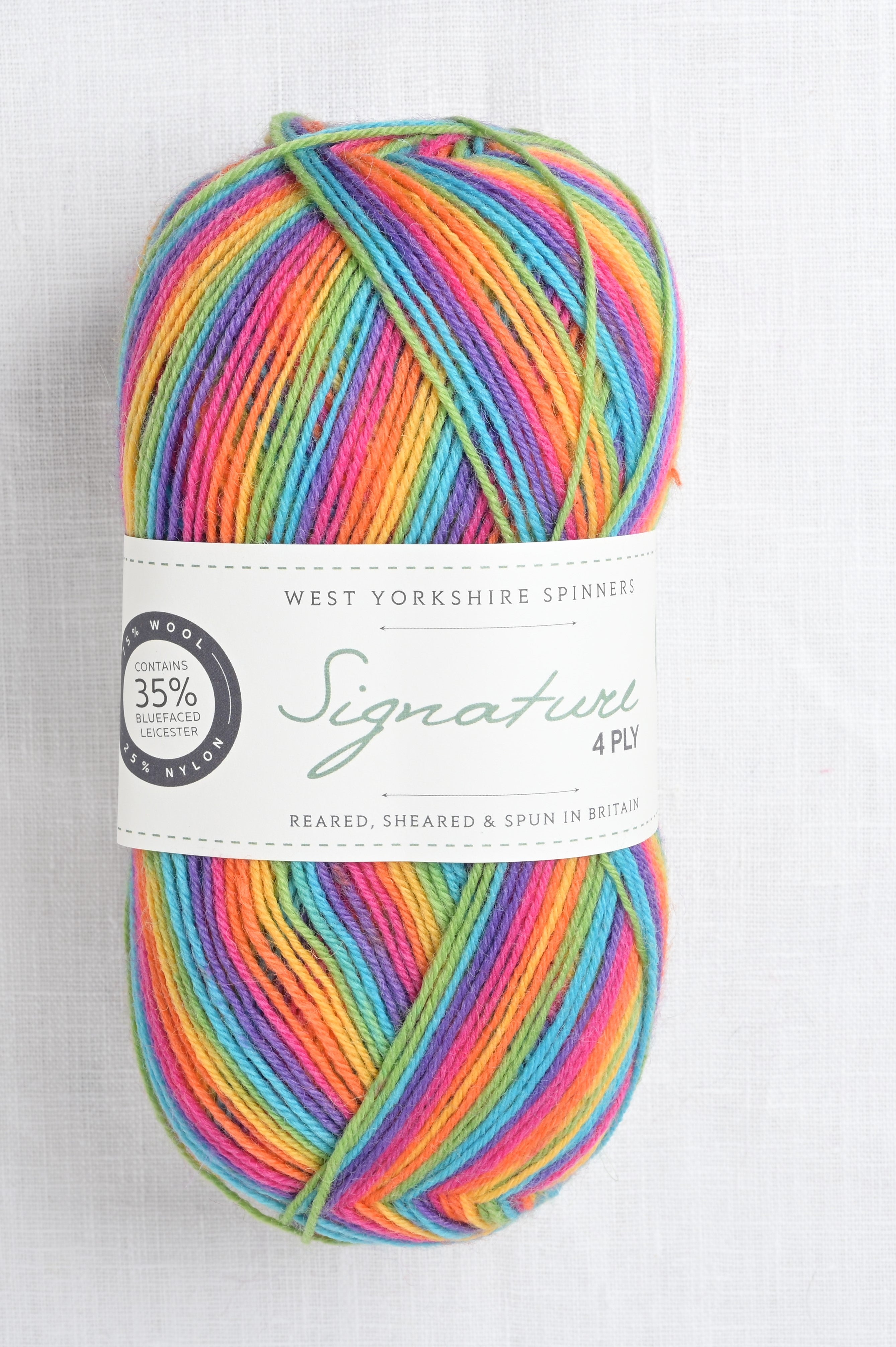 WYS Signature 4 Ply 822 Rum Paradise – Wool and Company