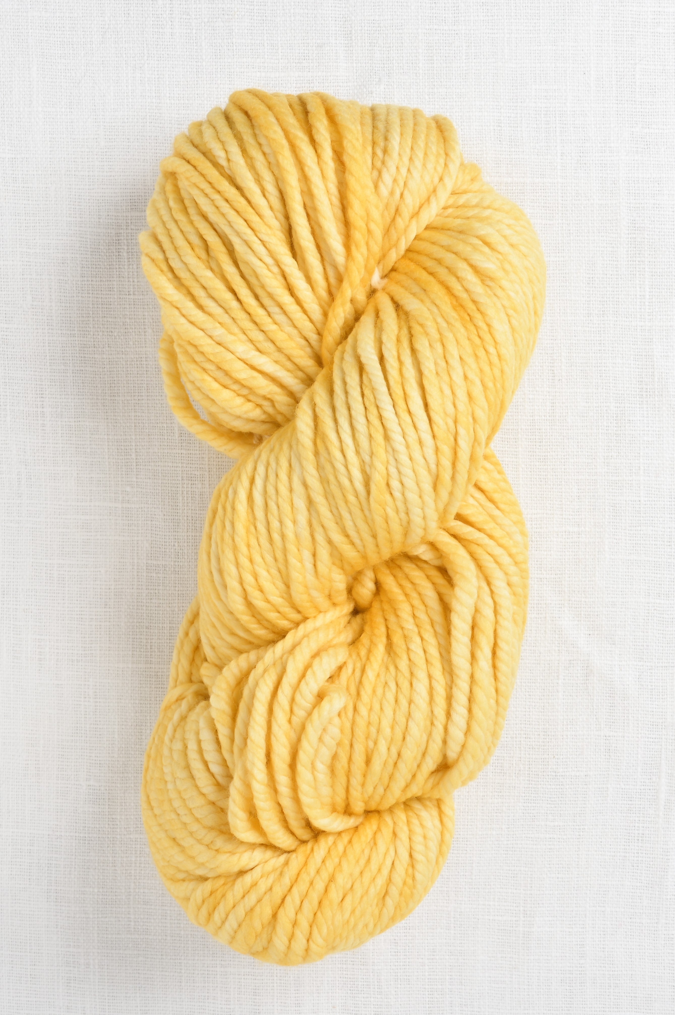 Malabrigo Chunky 019 Pollen – Wool and Company