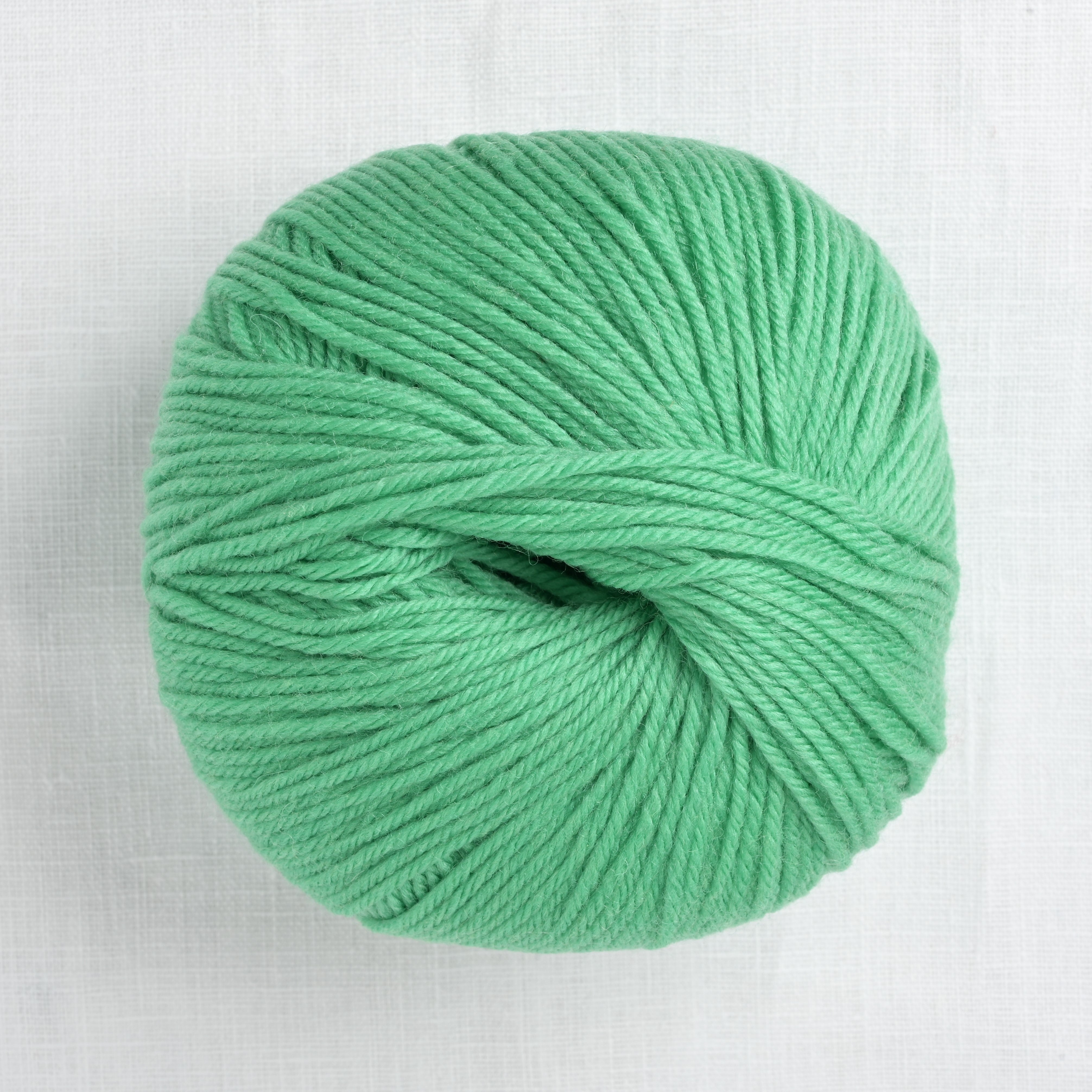 Cascade 220 Superwash 288 Green Spruce – Wool and Company