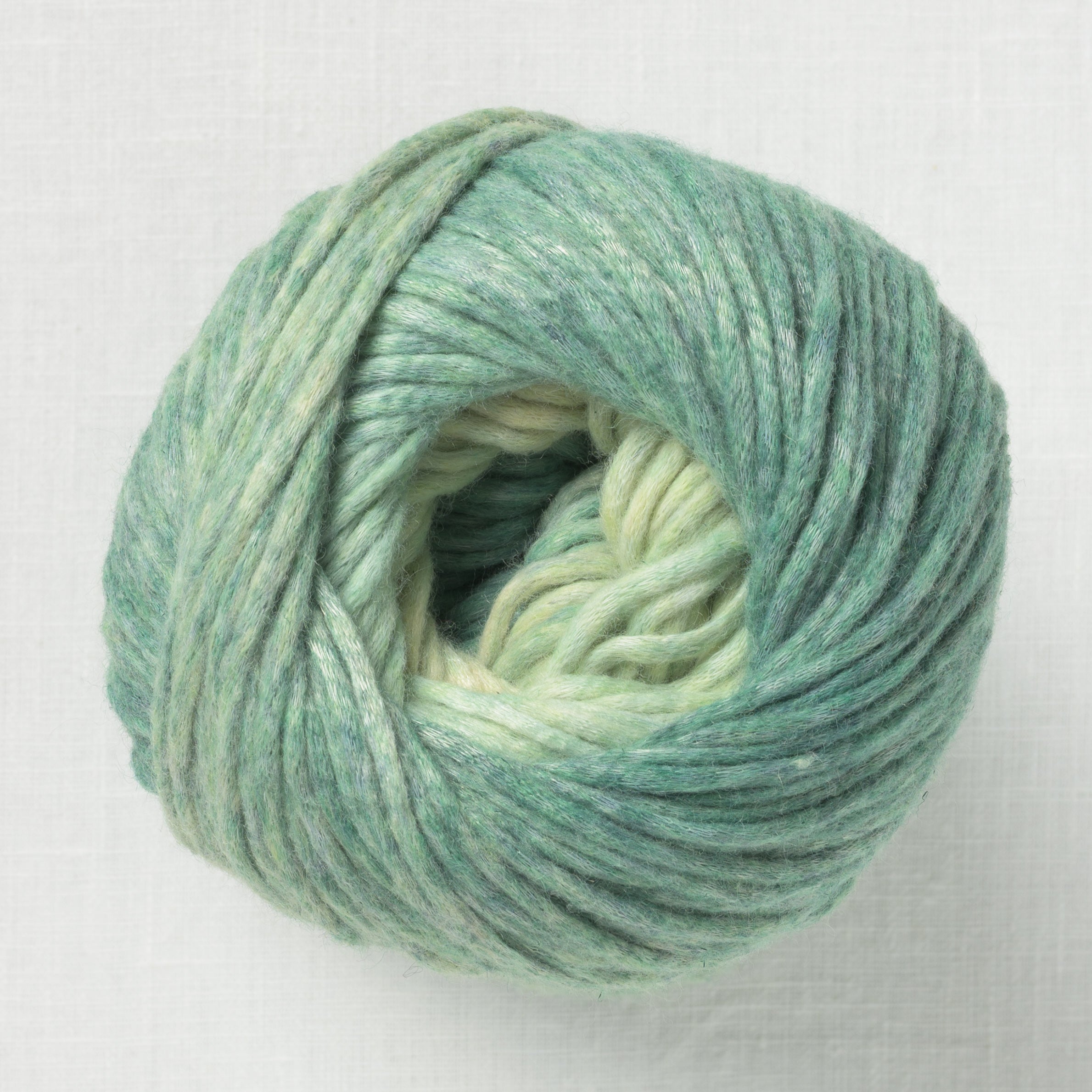 Lion Brand Landscapes Renewed 219AB Sweet Mint – Wool and Company