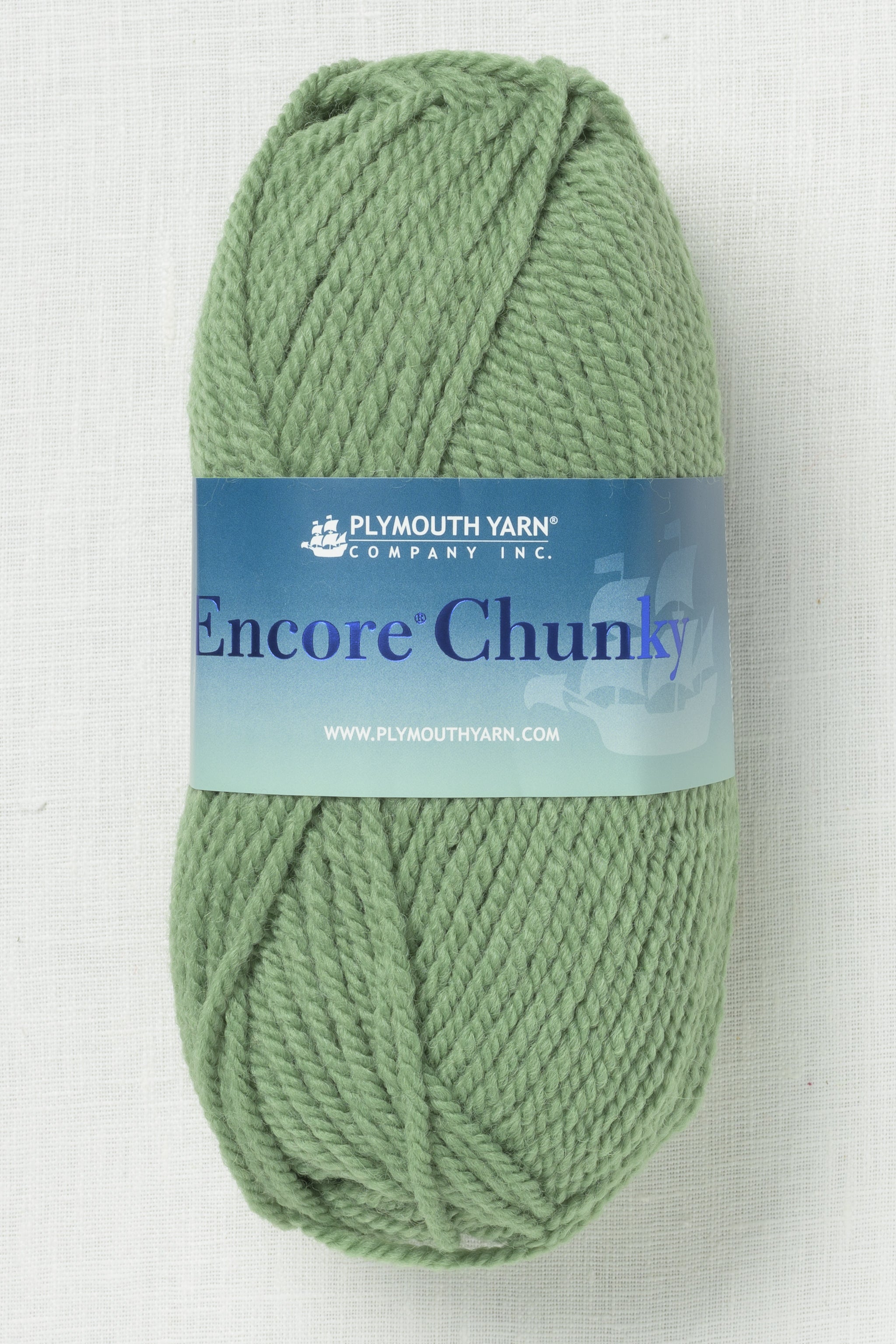 Plymouth Encore Chunky 1232 Dark Greenhouse – Wool and Company
