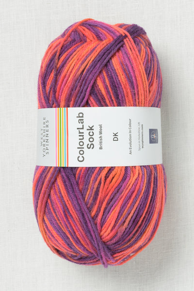 WYS ColourLab Sock DK 1198 Jazz