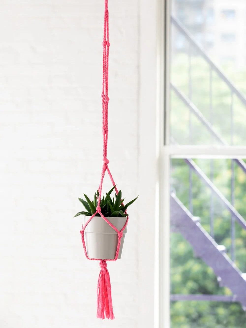 Knotted Plant Hanger – Wool and Company