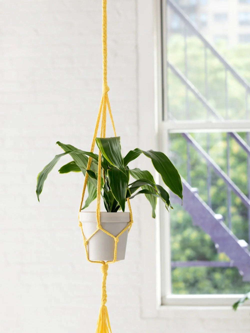 simple yarn plant hanger Simple Plant Hanger – Wool and Company