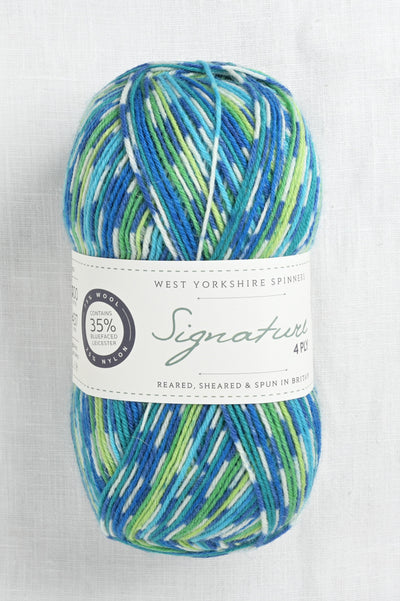 WYS Signature 4 Ply 851 Peacock