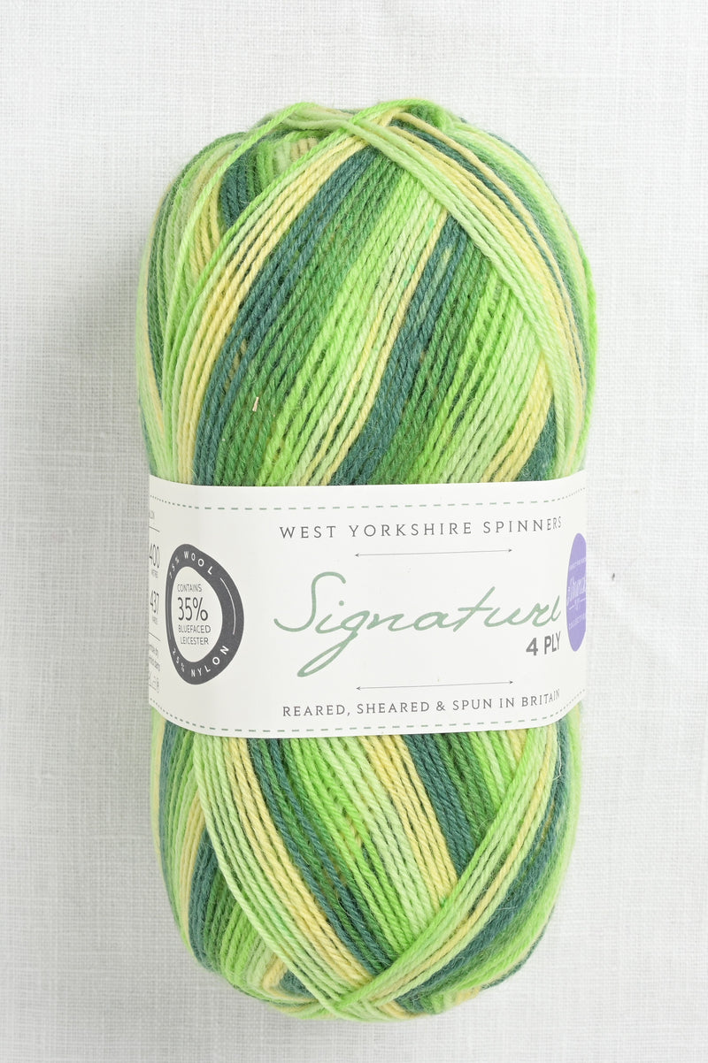 WYS Signature 4 Ply 882 Spring Green
