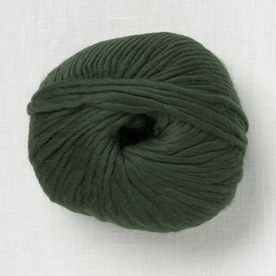 Wool and the Gang Lil' Crazy Sexy Wool Heritage Green