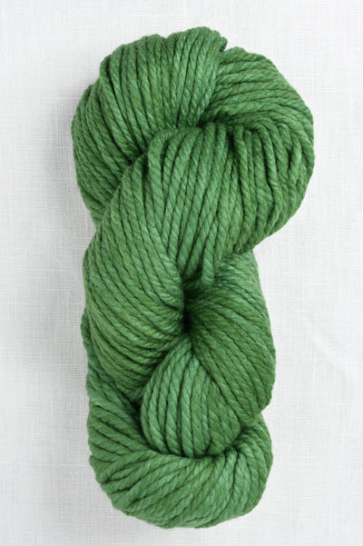 malabrigo chunky 117 verde adriana