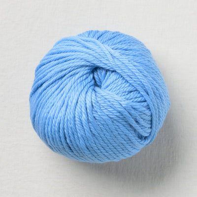 pascuali maximo 416 blue hydrangea