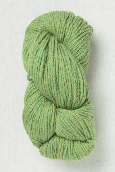 Cascade 220 Superwash Grande 905 Celery
