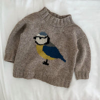 Bird Sweater by Pernille Larsen
