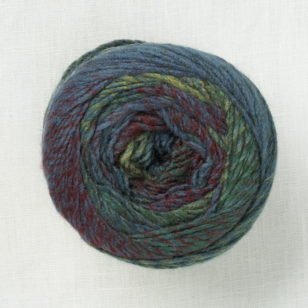 Lion Brand Ferris Wheel 608W Imaginary Garden