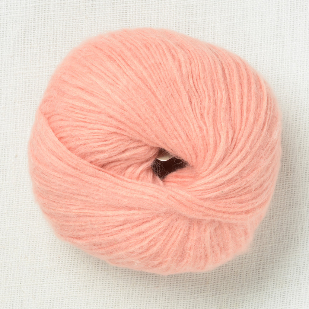 Pascuali Suave 84 Rose