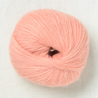 Pascuali Suave 84 Rose