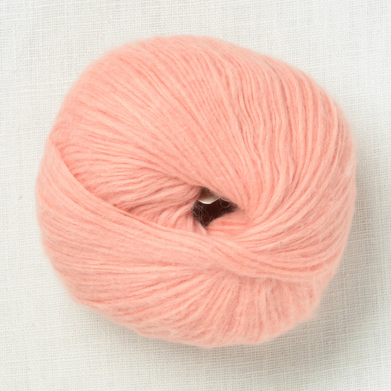 Pascuali Suave 84 Rose