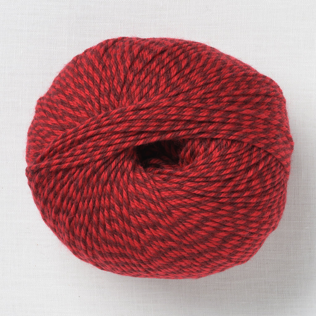 Cascade 220 Superwash 421 Red Marl