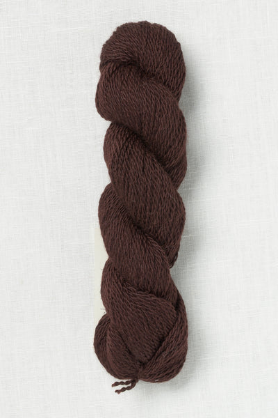 Amano Puna Light 2808 Mochaboom