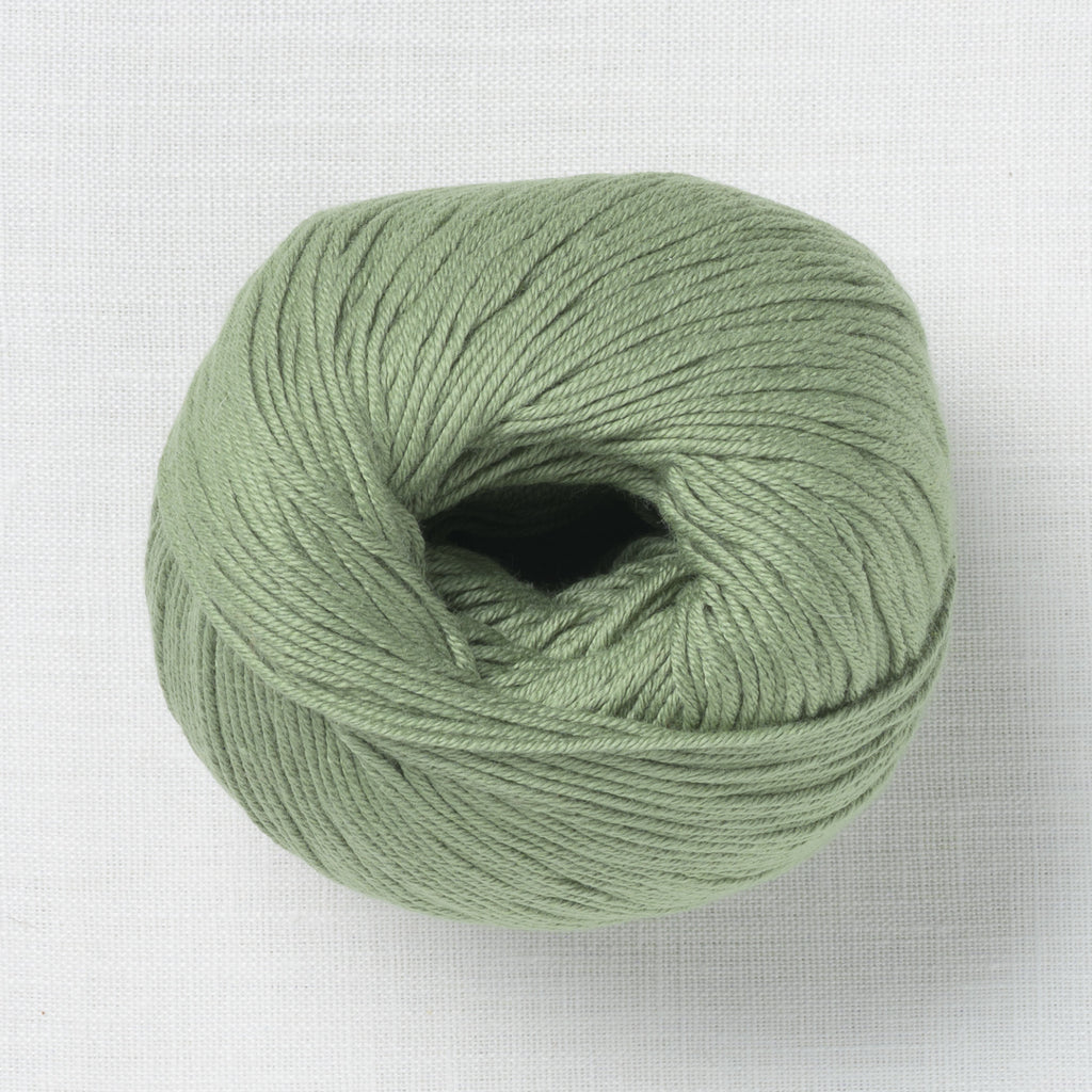 BC Garn Alba 46 Fern Green