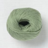 BC Garn Alba 46 Fern Green