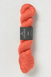 Julie Asselin Fino Clémentine