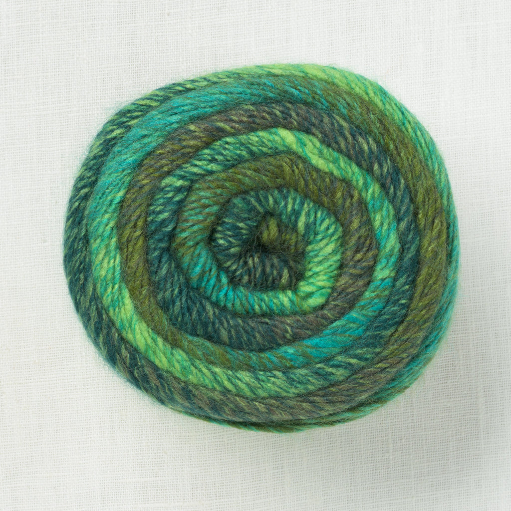 Lion Brand Ferris Wheel 603J Evergreen