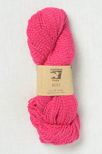 Juniper Moon Farm Bud 146 Hibiscus