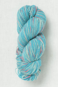 Juniper Moon Farm Patagonia Organic Merino Hand Paints 1005 Tahiti