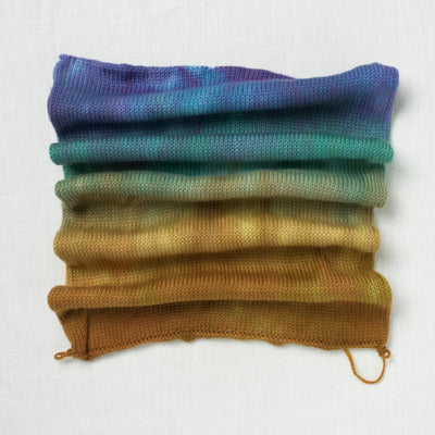 Sweet Georgia Sock Yarn Blank Beachside Brunch