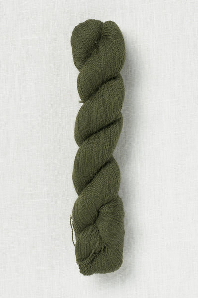 Pascuali Alpaca Lace 37 Olive
