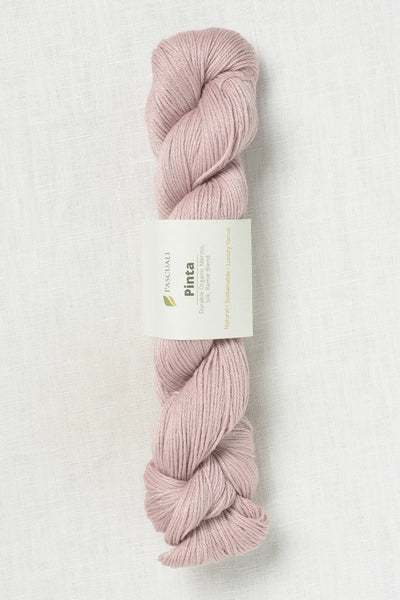 Pascuali Pinta 127 Rose