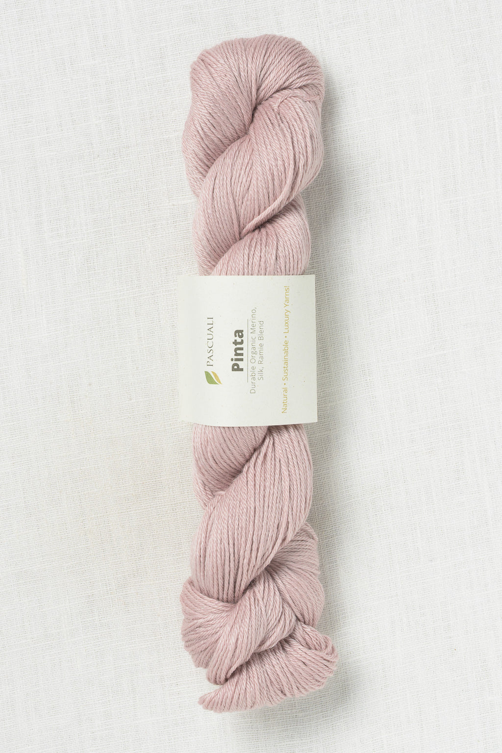 Pascuali Pinta 127 Rose