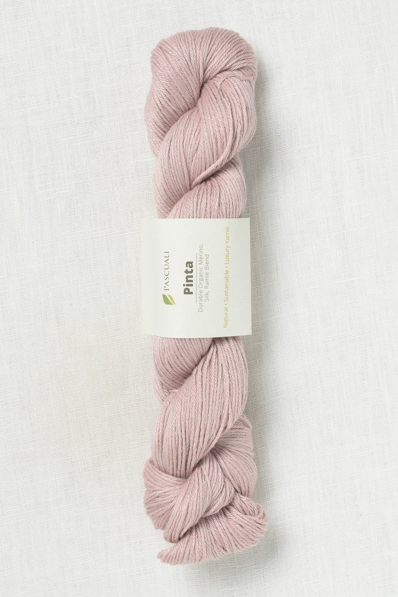 Pascuali Pinta 127 Rose