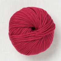 Pascuali Maximo 427 Raspberry