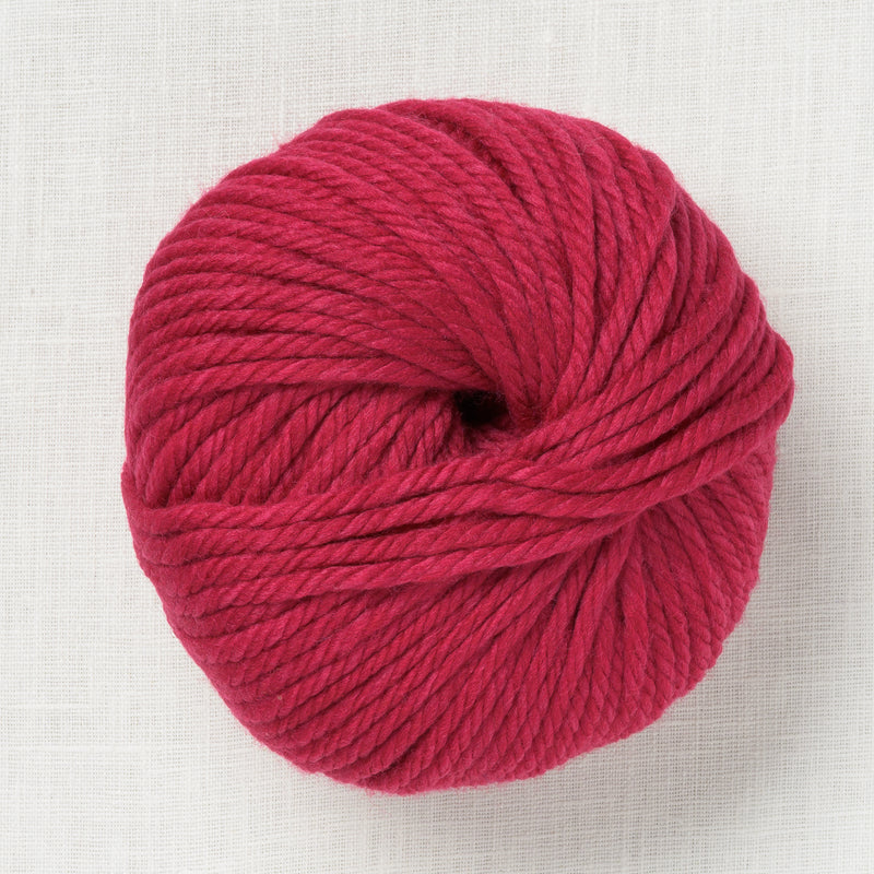 Pascuali Maximo 427 Raspberry