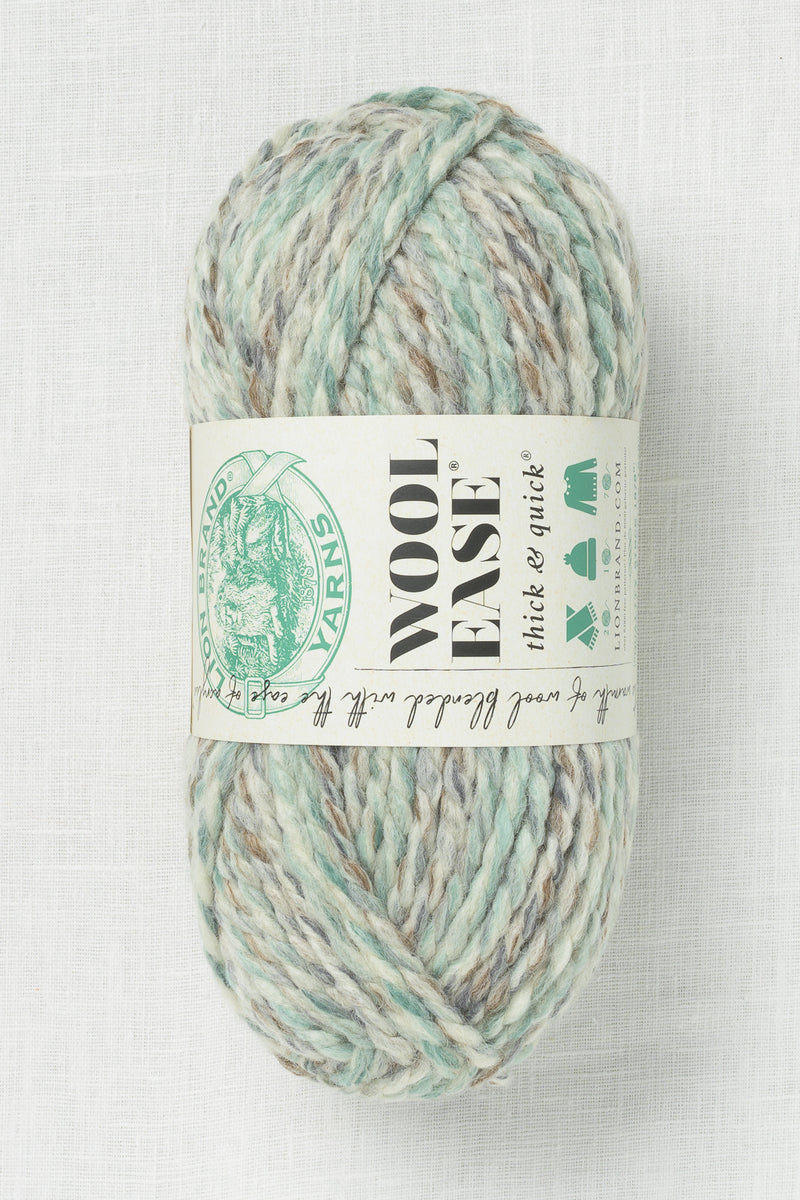 lion brand succulent Lion Brand Wool Ease Thick & Quick 542C Seaglass – Wool and Company