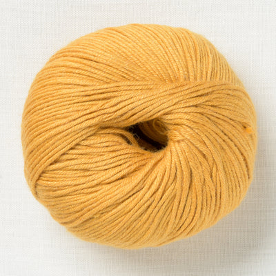 Lamana Perla 08 Curry
