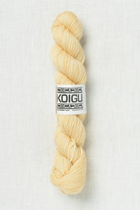 Koigu Premium Merino KPM 5311