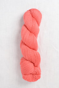 Cascade 220 Fingering 1022 Georgia Peach (Discontinued)