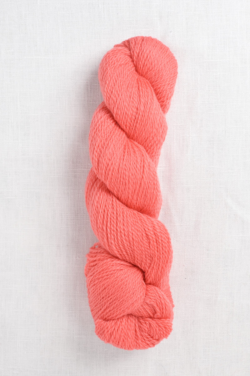 Cascade 220 Fingering 1022 Georgia Peach (Discontinued)