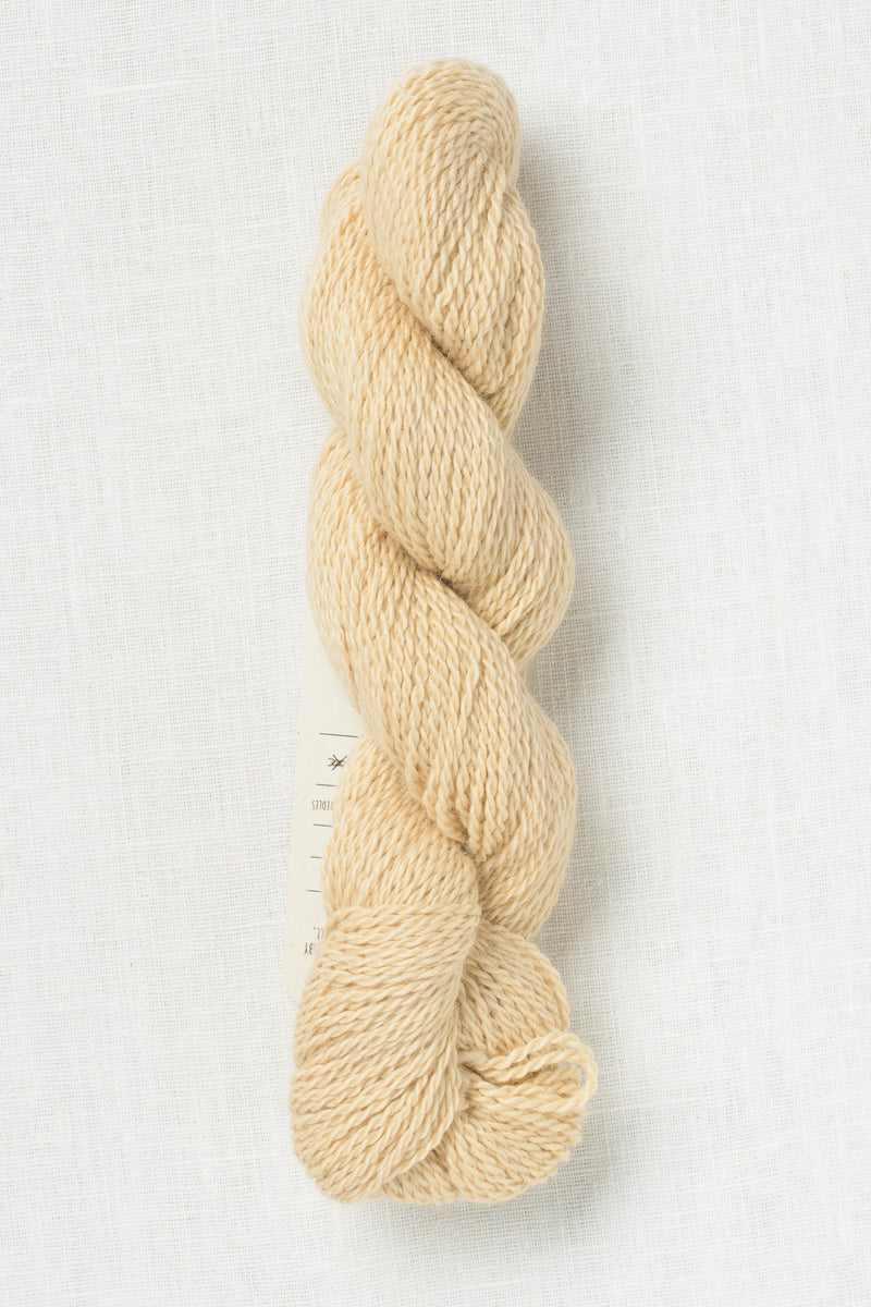 Amano Puna Light 2807 Coconut Craze