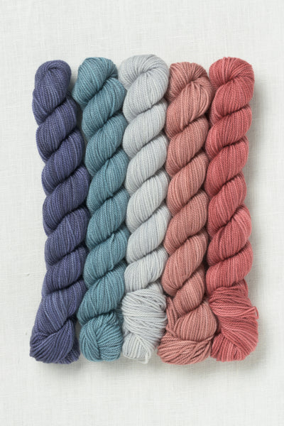 Sweet Georgia Party of Five Tough Love Sock Mini Skein Set Modern Desert