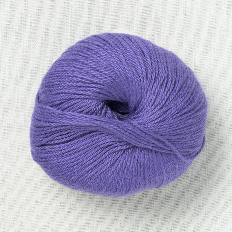 Pascuali Cumbria 337 Plum