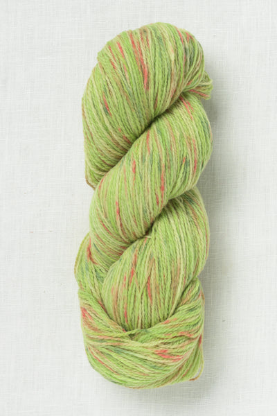 Juniper Moon Farm Patagonia Organic Merino Hand Paints 1011 Lily Pad