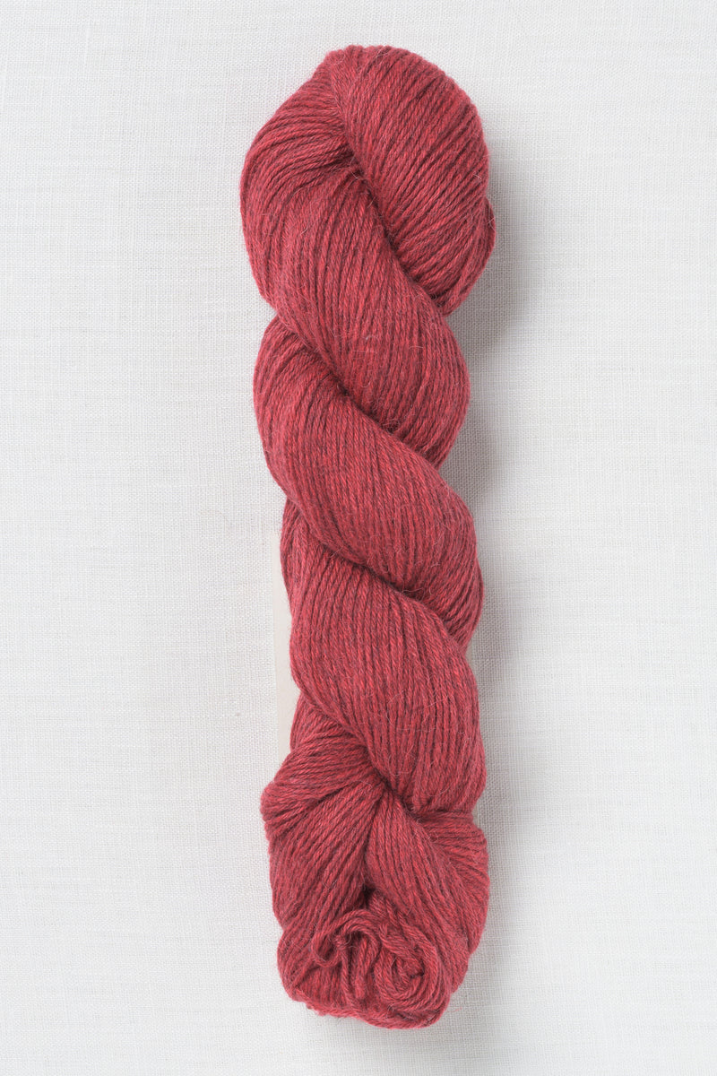 Amano Duna 2613 Sahara Heather