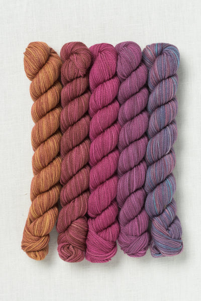 Sweet Georgia Party of Five Tough Love Sock Mini Skein Set Spilling Secrets